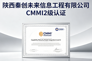 CMMI2级认证